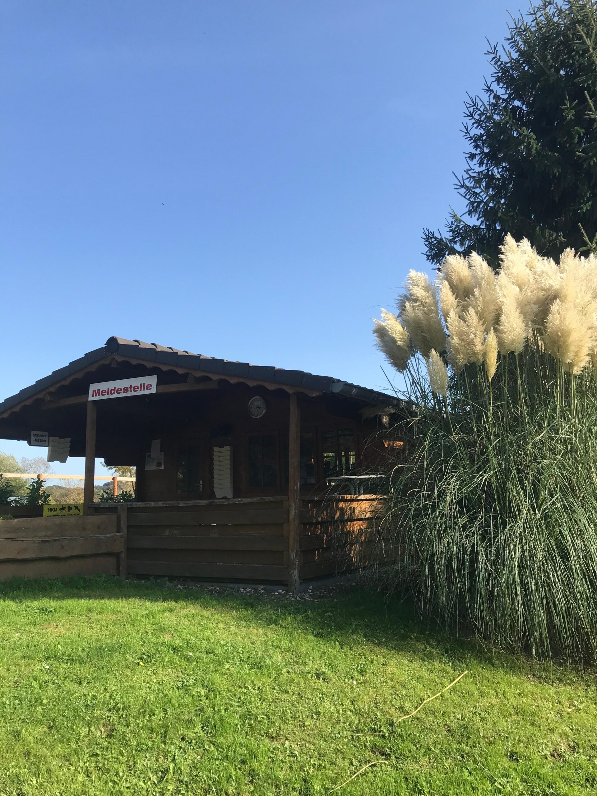 Meldestelle am Springplatz