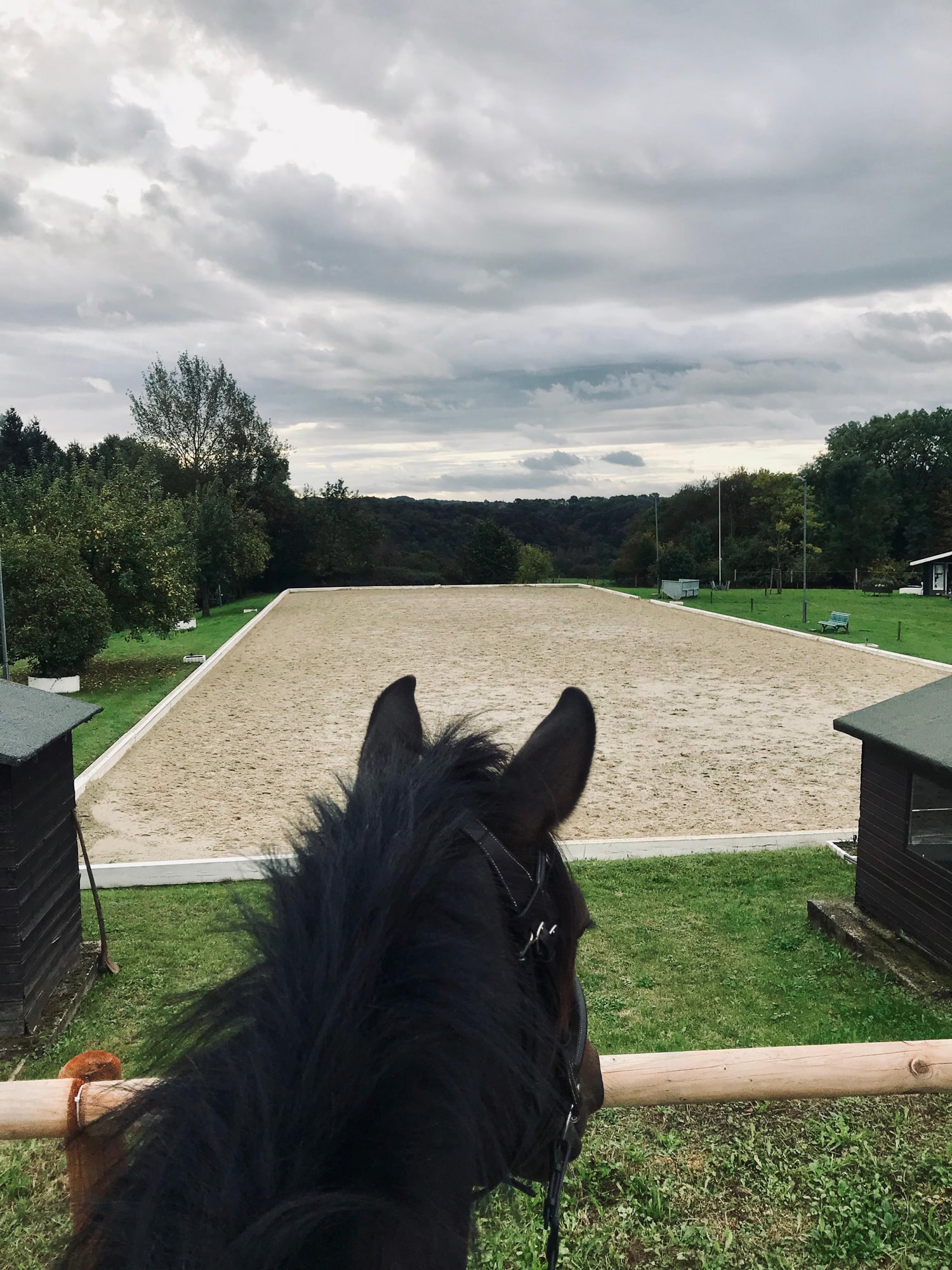 Springplatz mit Pferd