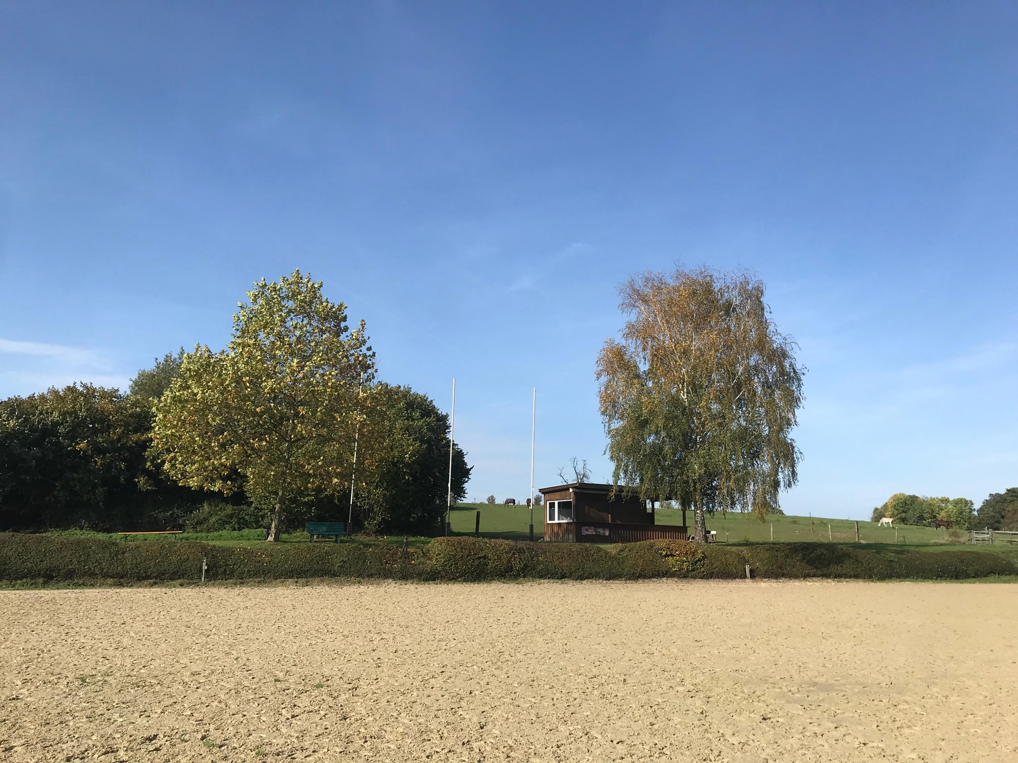 Unser Springplatz mit Bäumen im Hintegrund