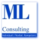 ML Consulting